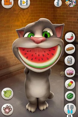 会说话的汤姆猫v3.10.0.831