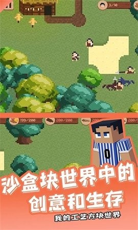 我的工艺方块世界完整版v1.1