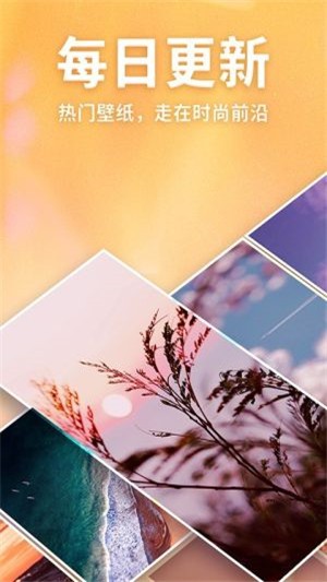 灵猫主题壁纸免费版v1.0.2