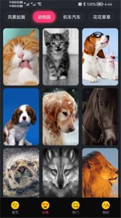 轻甜心手机版v1.0.3