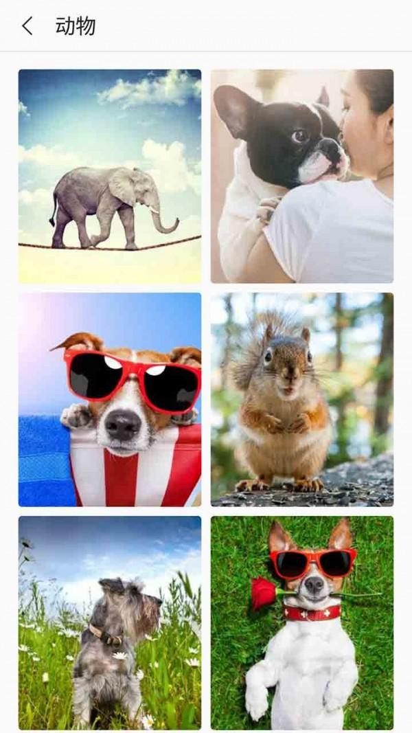 芒果壁纸手机版v3.2.8