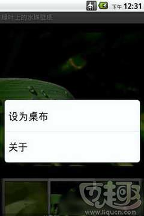 绿叶上的水珠主题壁纸手机版1.0